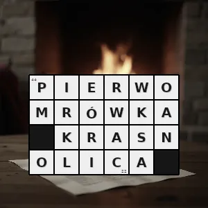 Hasło krzyżówkowe formica rufibarbis gatunek mrówki z podrodziny formicinae - pierwomrówka krasnolica – rozwiązanie, synonimy, podpowiedzi i definicje krzyżówkowe